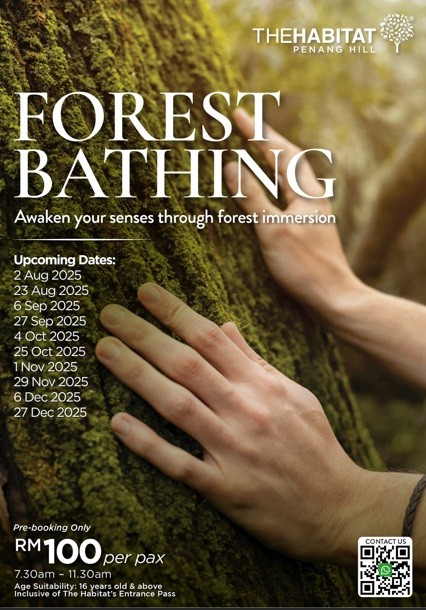 Forest Bathing at The Habitat Penang Hill
