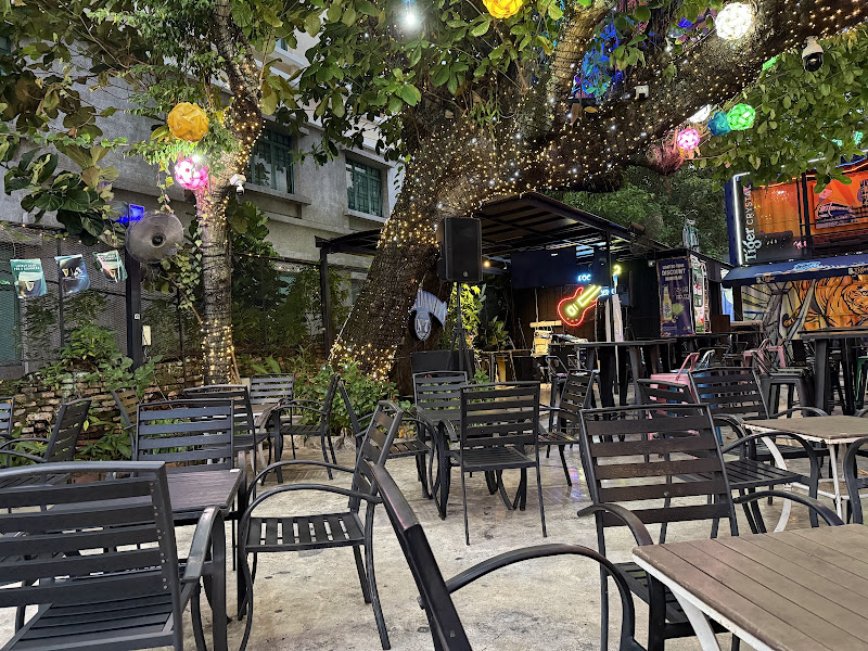 The Pokok - All Day Bar